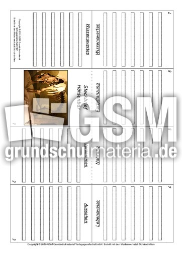 Faltbuch-Höhlenbär.pdf